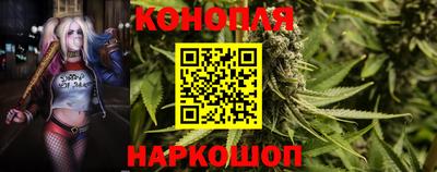 ГАЛЛЮЦИНОГЕННЫЕ ГРИБЫ Кандалакша